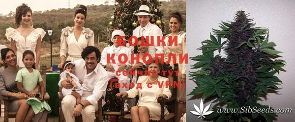 амфетамин Алексеевка