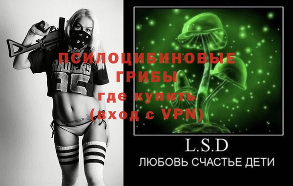 бошки Алзамай