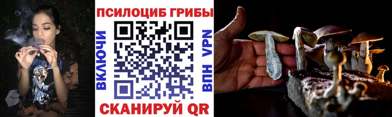 Псилоцибиновые грибы GOLDEN TEACHER Пучеж